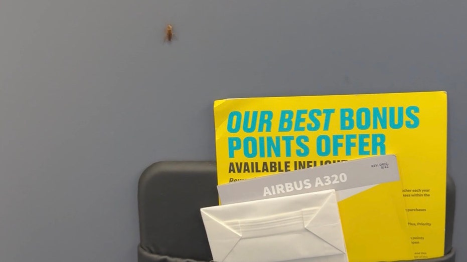 Flight passenger spots cockroaches crawling in airplane cabin: 'Never again'